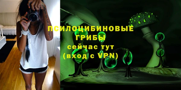 винт Карпинск